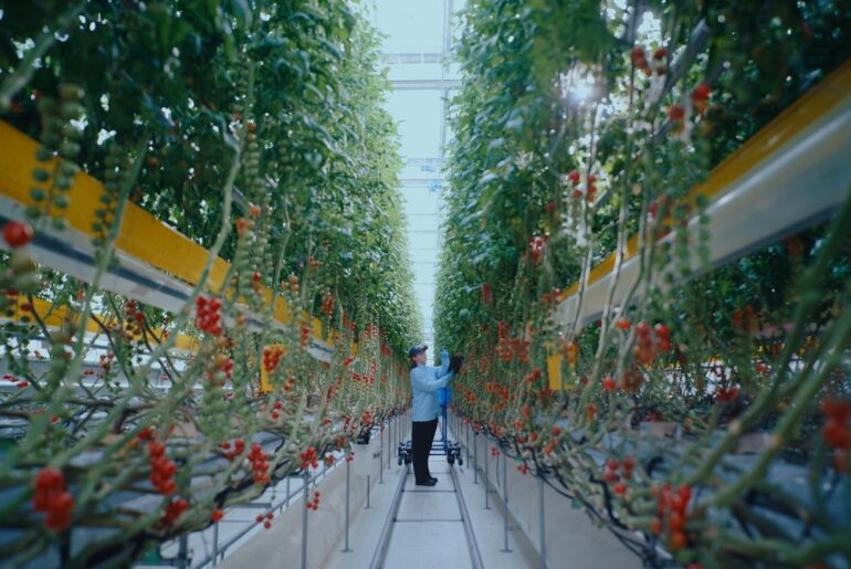BEYOND ZERO | Welcome to Toyota’s Farm Lab (Long) | Toyota