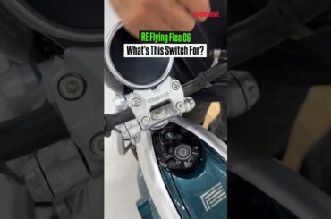 What’s This Switch For? | RE Flying Flea C6 #overdrive