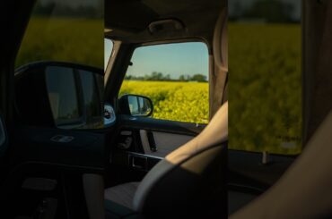 The best seat isn't in the house. | #shorts