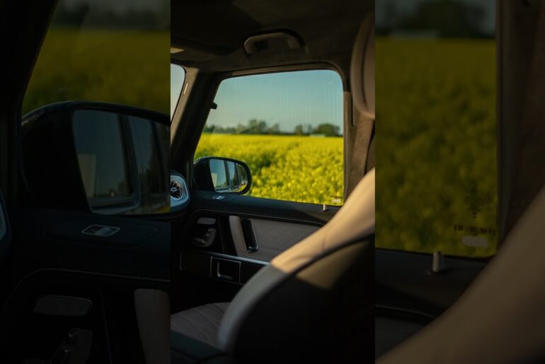 The best seat isn't in the house. | #shorts