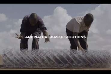 Peugeot l Born Free l 2025 Recap ​