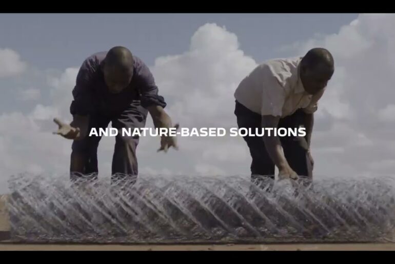 Peugeot l Born Free l 2025 Recap ​