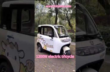 1200W electric tricycle 3 wheel car