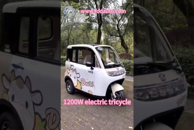 1200W electric tricycle 3 wheel car