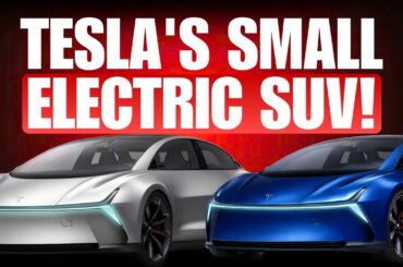 4 Sources Say Tesla is BUILDING an ALL NEW Affordable Small Electric SUV