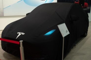 Tesla ‘Model 2’ Rises From The Ashes