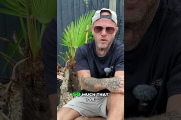 Why Two Bikes? Boxer Dog Jumps, Hates Boring E-Bikes! #shorts