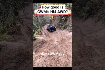 Insane to think a softroader hybrid can drive this terrain. GWM's #Hi4 AWD is still super capable