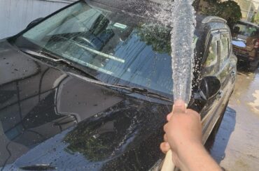 Guys does this work or do I need fertilizer?