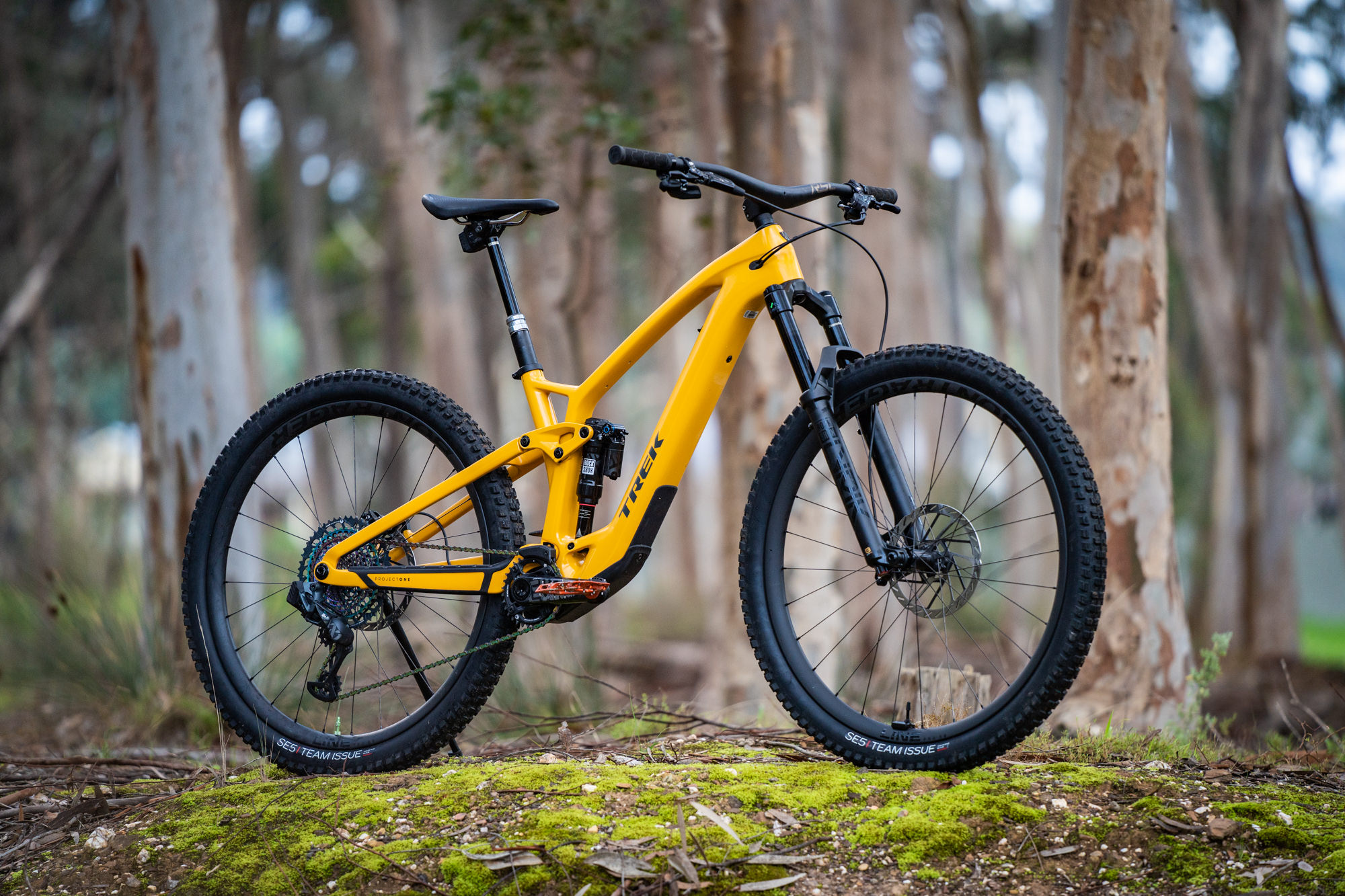 Trek Fuel EXe TQ HPR50 lightweight e-MTB riding trail during Flow Mountain Bike review