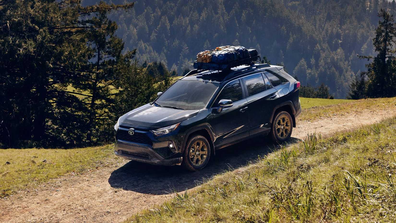 A blue 2025 Toyota RAV4 Hybrid Woodland Edition