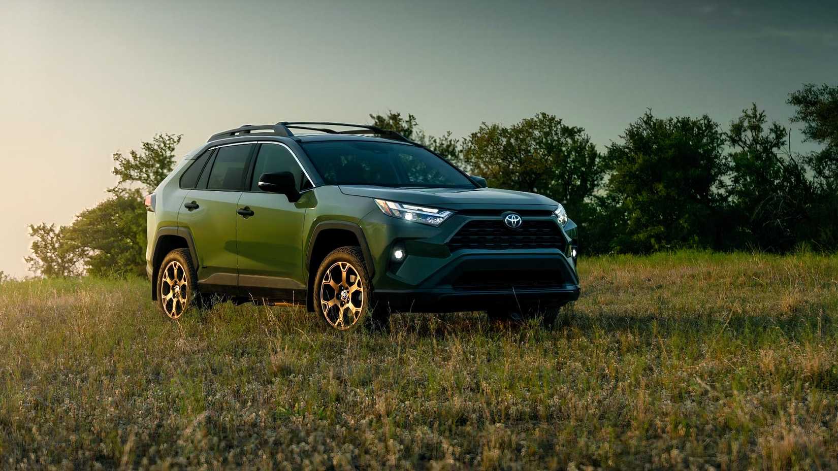 2025 Toyota RAV4