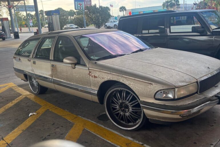 A bunch of cars that I found in the wild today