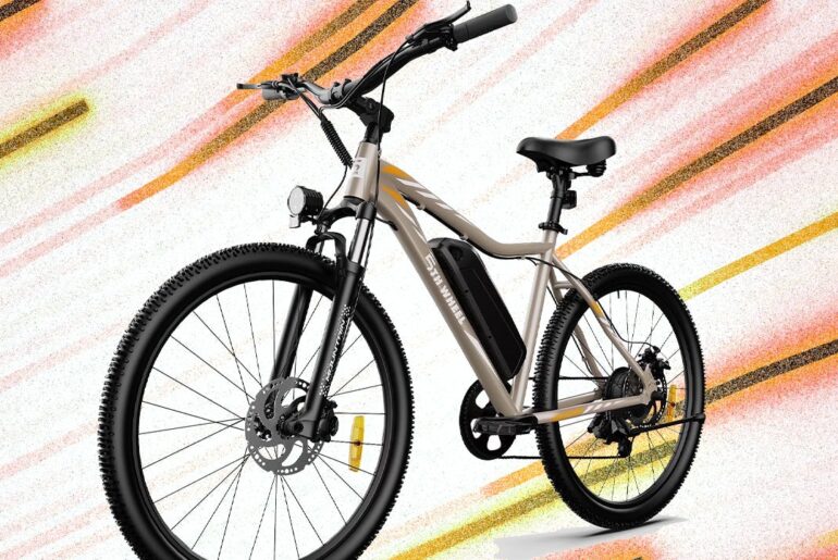 The 5th Wheel 36V Adult Electric Bike Will Cost You Less Than $270