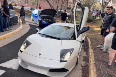 First time seeing a [Lamborghini Murciélago]