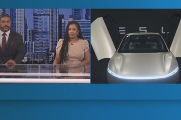 Report: Production appears to be underway for Tesla's new robotaxis in Del Valle