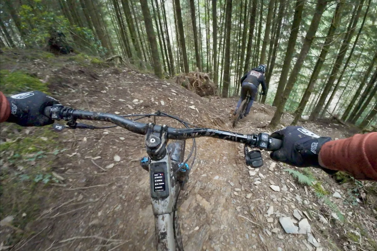 Riding Dyfi Bike Park