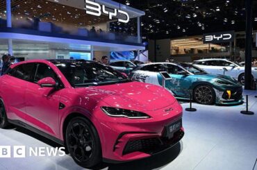 China car giant BYD says it can thrive without access to US market
