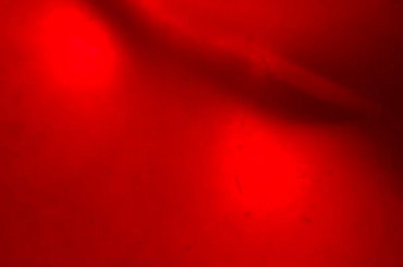 65 Impala convertible