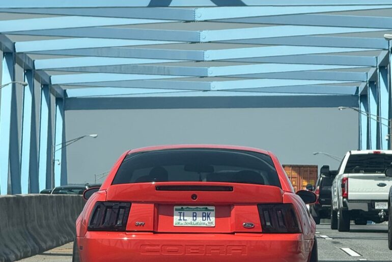 Termi [Cobra] with the perfect plate.