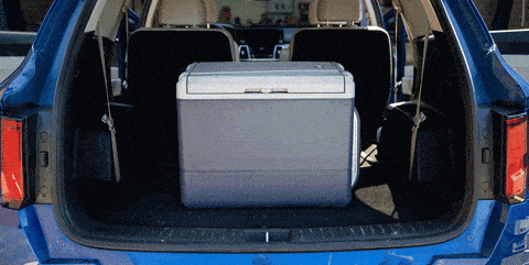 portable electric car coolers