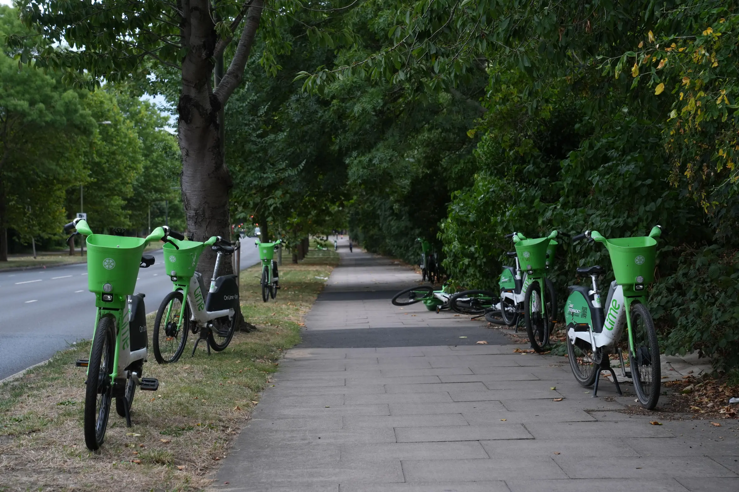 Lime bikes on a sidewalk near Chiswick Bridge in London.