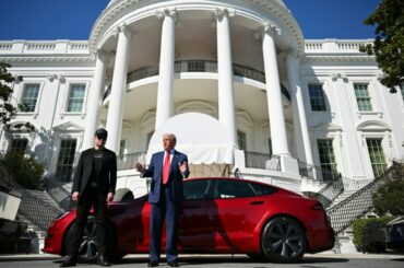 In Europe first, Netherlands to allow Teslas to self-drive