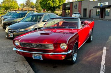 Check out all of these beauties I saw today! Canby, Oregon