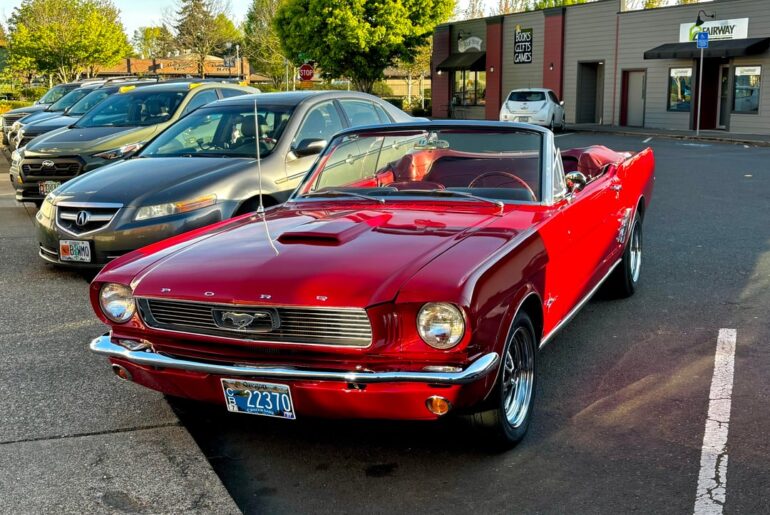 Check out all of these beauties I saw today! Canby, Oregon