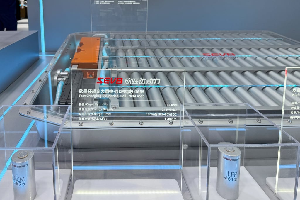Sunwoda’s fast-charging EV batteries. Photo: Themis Qi