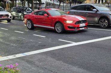 [Ford Mustang]