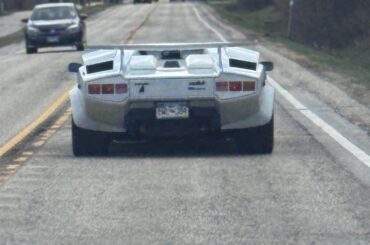 [Lamborghini Countach] first time seeing this in the wild