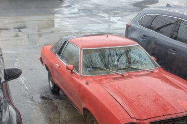 Mustang II spotted in the wild