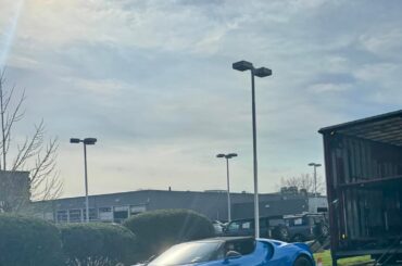 [Bugatti Mistral] and a few other background Bugs