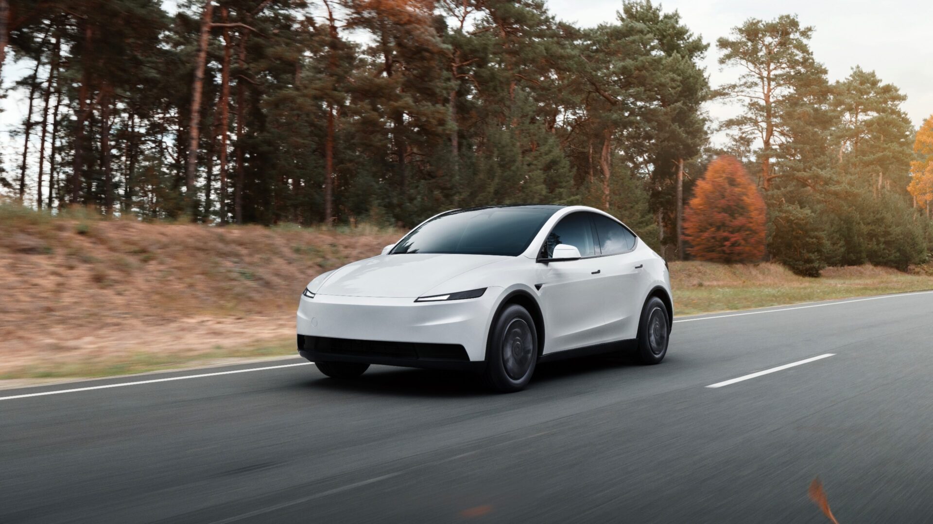 model-y-standard-autumn-road | TeslaNorth.com