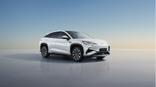 The BYD Sealion 7 (BYD Korea)