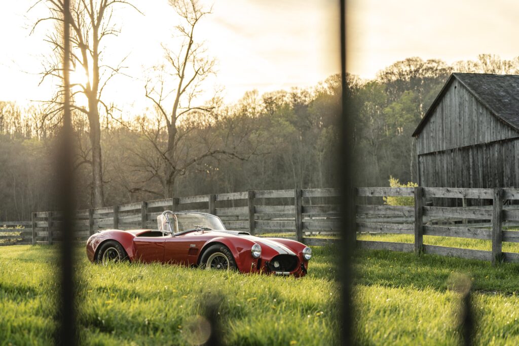 Cobra in the grass [3840x2561]