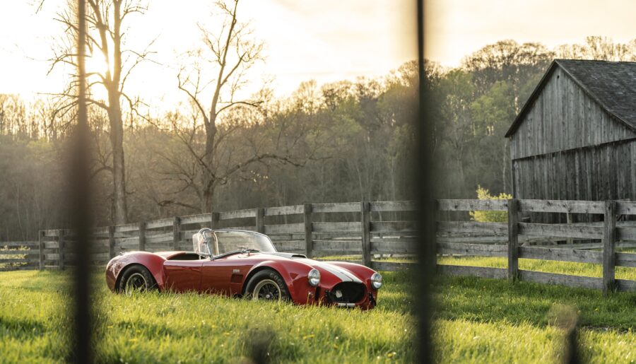 Cobra in the grass [3840×2561]