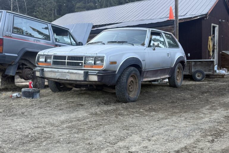 Just picked this guy up! First amc!