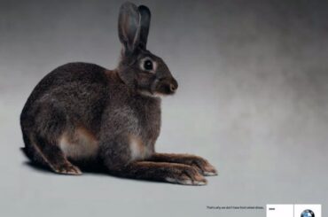 BMW's "That's why we don't have front wheel drive" ad campaign from the 2000s, they have since made FWD models