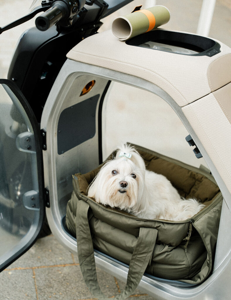 RIDE ANY - LUV1 - THE PACK - Electric Motorcycle News