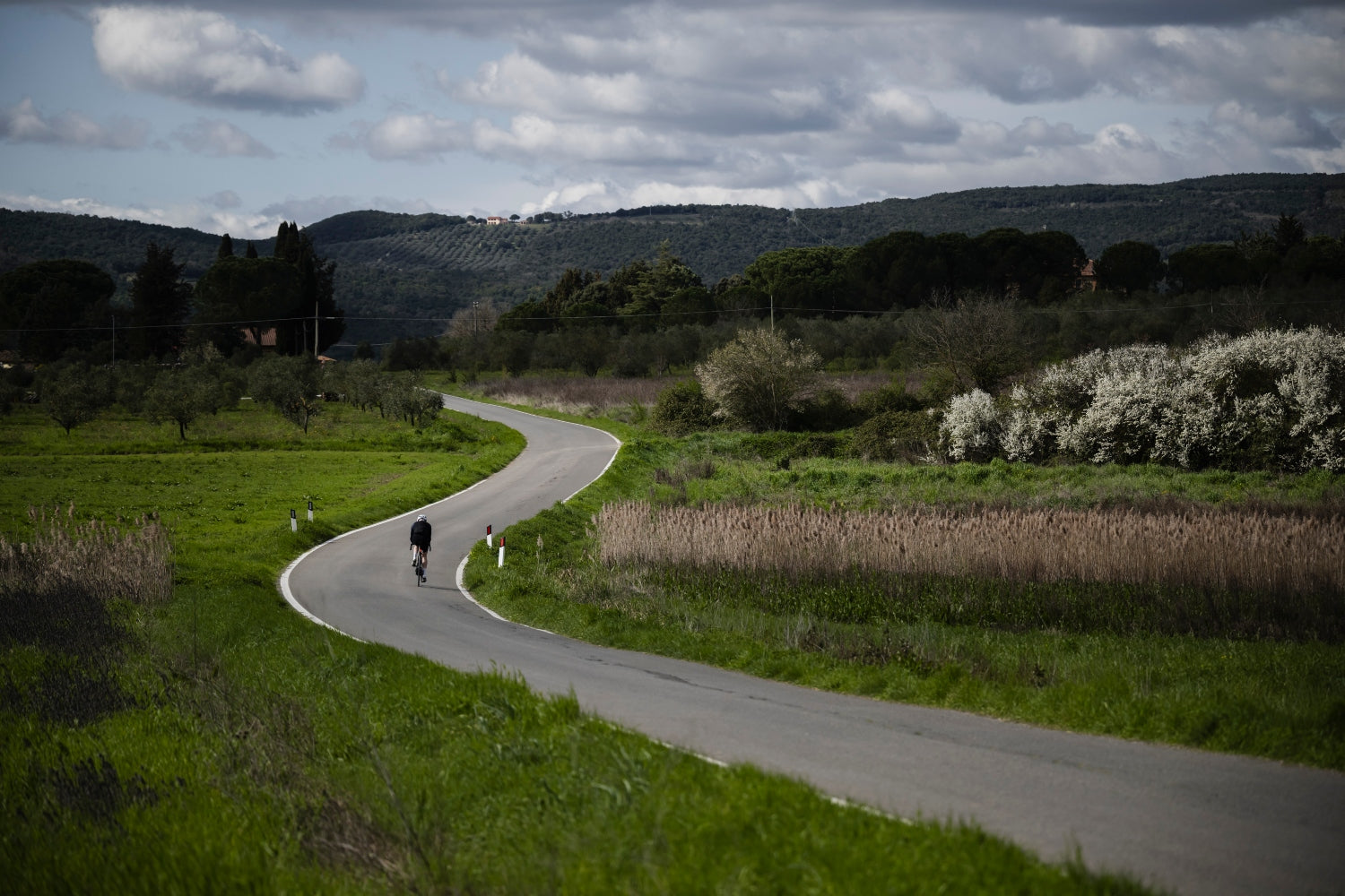 BMC Teammachine 01 AMP Tuscany landscape