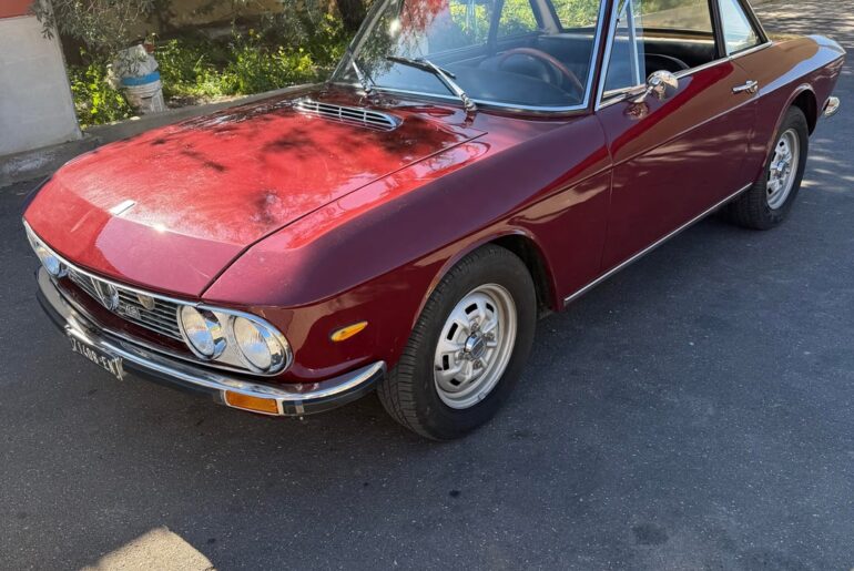 In it’s natural habitat