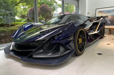 Some more photos of the bingo sports [Apollo IE].