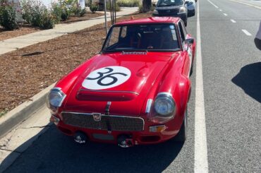 Spotted today on another bike ride.