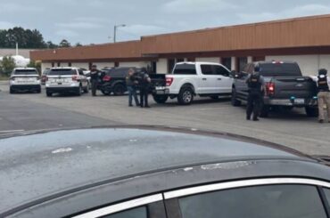 Bearcat truck crashes into Tesla in Horry County