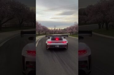 Porsche in full bloom #shorts