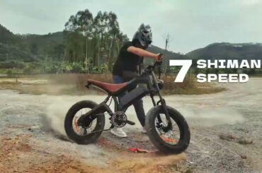 DYU M20 Electric Bike Conquer All Outdoor Terrains -From City Streets to Sandy Dunes