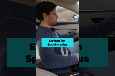 Bentley Plug-in Hybrid: Elefanten-Sprint im Sportmodus! #shorts