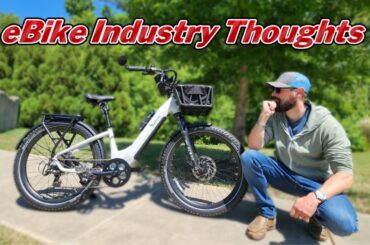 What's Happening with Cheap Ebikes? Pricing, Regulations, Service & Support